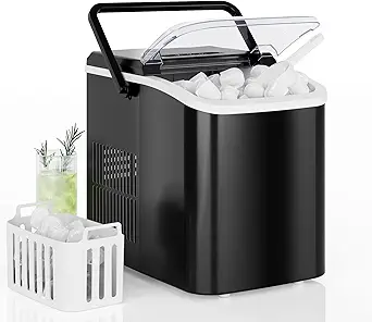 Icemaker